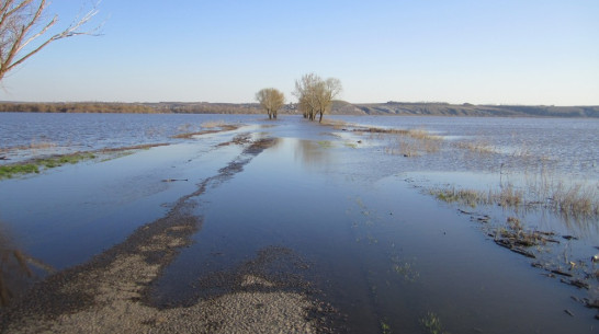 В россошанских водоемах уровень воды в половодье будет вдвое ниже критического 