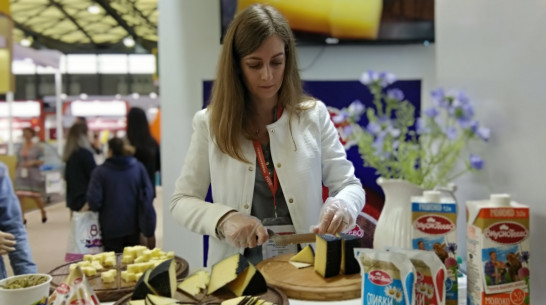 Воронежский «Молвест» показал в Китае сыр, масло и молоко