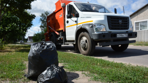 В Острогожском районе вывоз мусора во всех поселениях организуют к сентябрю