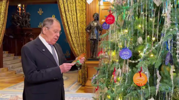 Министр иностранных дел организует девочке из Воронежа встречу с Владимиром Мединским