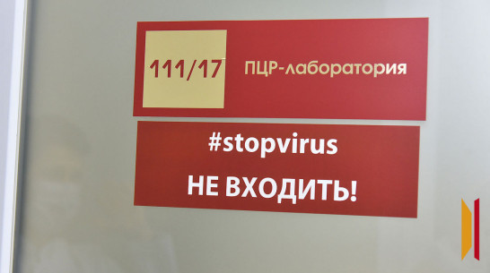 В Воронежской области за неделю выросла заболеваемость COVID-19
