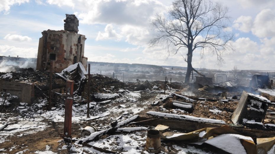 В селе Грань Павловского района выгорела часть улицы