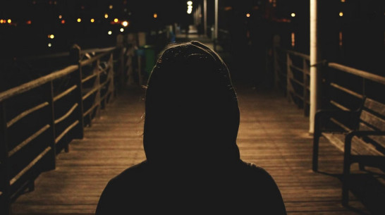 За неделю воронежские волонтеры получили 5 заявок на поиски детей