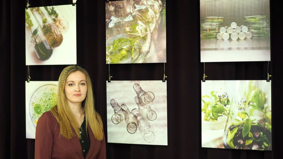 В Воронеже генетик открыла фотовыставку In vitro о лабораторных опытах