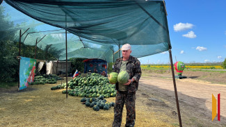 Арбузы для бойцов: как острогожский фермер помогает участникам СВО