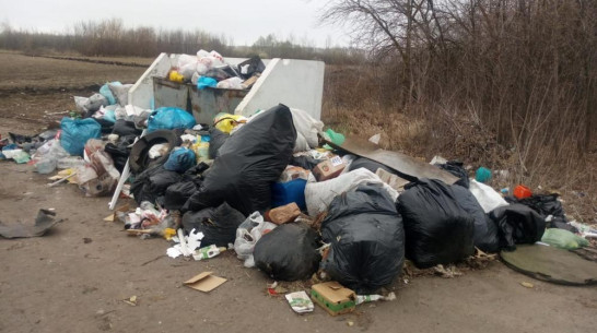 На выездах из Боброва образовались несанкционированные свалки