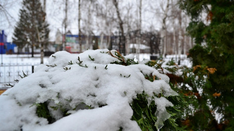 В Грибановке чередовались снег и дождь