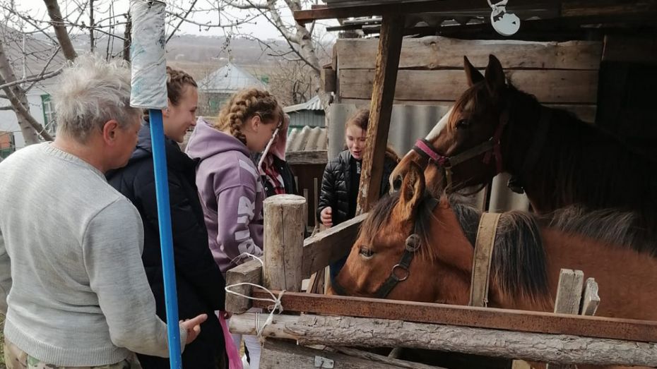 Детям из Донбасса организовали экскурсию на конюшню в Калачеевском районе