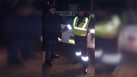 Панинские автоинспекторы помогли водителю починить рейсовый автобус на трассе