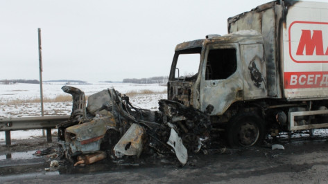 Сгоревшим водителем Hyundai в Воронежской области оказался 31-летний борисоглебец