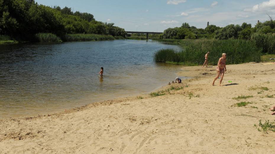 В Воронежской области санврачи нашли холероподобные вибрионы в 8 местах отдыха у воды