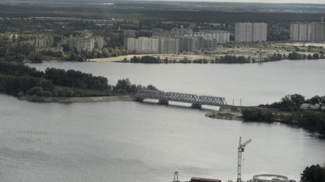В Воронежское водохранилище запустят 600 тыс мальков