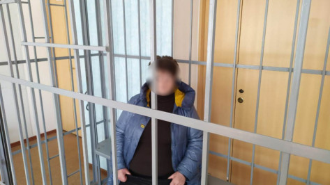 В Воронежской области поймали находившуюся в федеральном розыске серийную аферистку