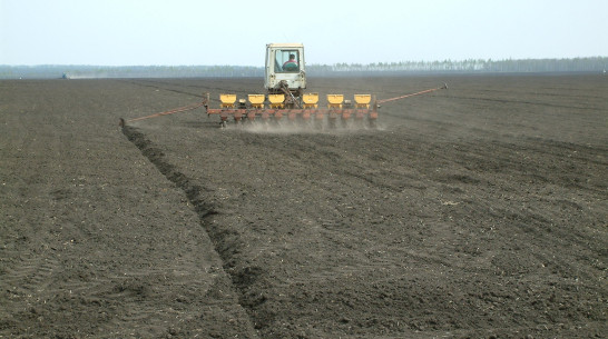 Более 50 воронежских агрофирм получат поддержку в рамках губернаторской стратегии социально-экономического развития региона