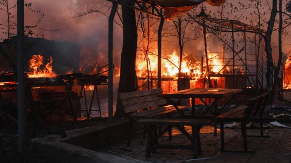 Причиной пожара в рыбацком поселке под Воронежем стал поджог