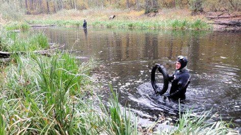 Экологи и водолазы провели уборку на особо охраняемых воронежских озерах