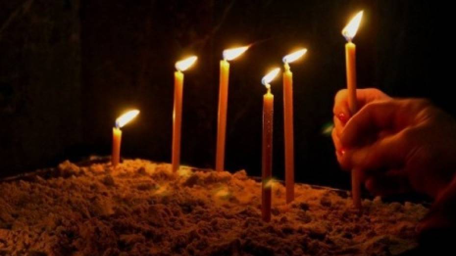 В Воронеже высадят аллею в память о погибших в ДТП