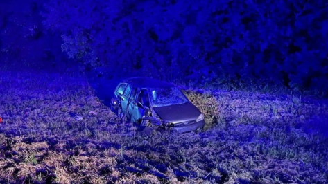 В Воронежской области «Лада Калина» вылетела в кювет: погиб водитель