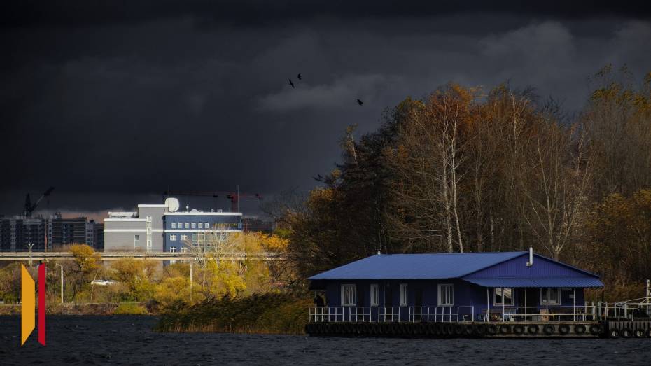 Воронежцев предупредили о сильном ветре с порывами до 17 м/c