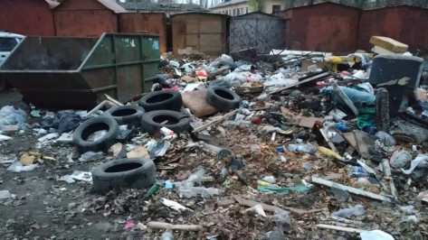 Воронежцы пожаловались на свалку возле детского сада
