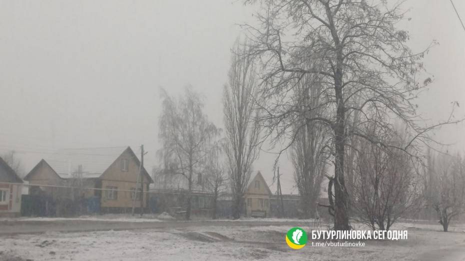 В Воронежскую область пришла зима