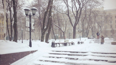 В выходные в Воронеже будет прохладно и снежно