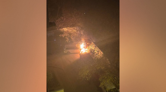 В Ленинском районе Воронежа ночью загорелись 3 машины: видео