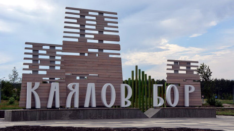 Проект из Воронежской области победил на всероссийском конкурсе «Проектный Олимп 2021»