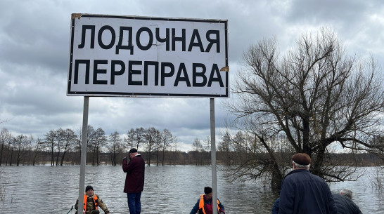 Лодочную переправу организовали из-за подъема воды в реке Воронеж