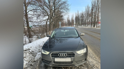 В Воронеже водитель накопил 24 неоплаченных штрафа на 90 тыс рублей