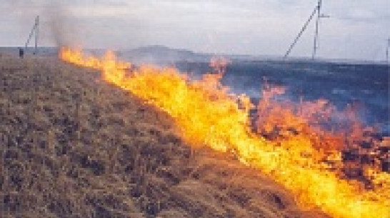 В Кантемировке из-за палов сухой травы произошло несколько серьезных возгораний
