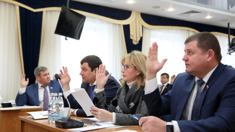 Гордума утвердила стратегию развития Воронежа до 2035 года 