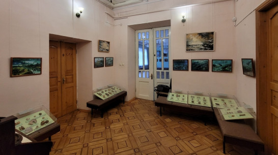 В Острогожском музее открылась бесплатная геологическая выставка
