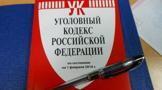 В Воронежской области убийцу мужа-участкового приговорили к исправительным работам