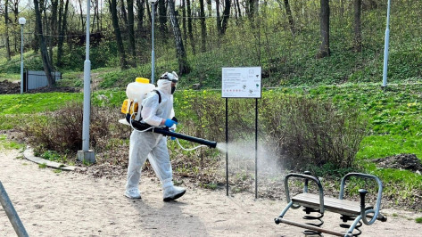 Парки и скверы Воронежа начали обрабатывать от клещей и комаров