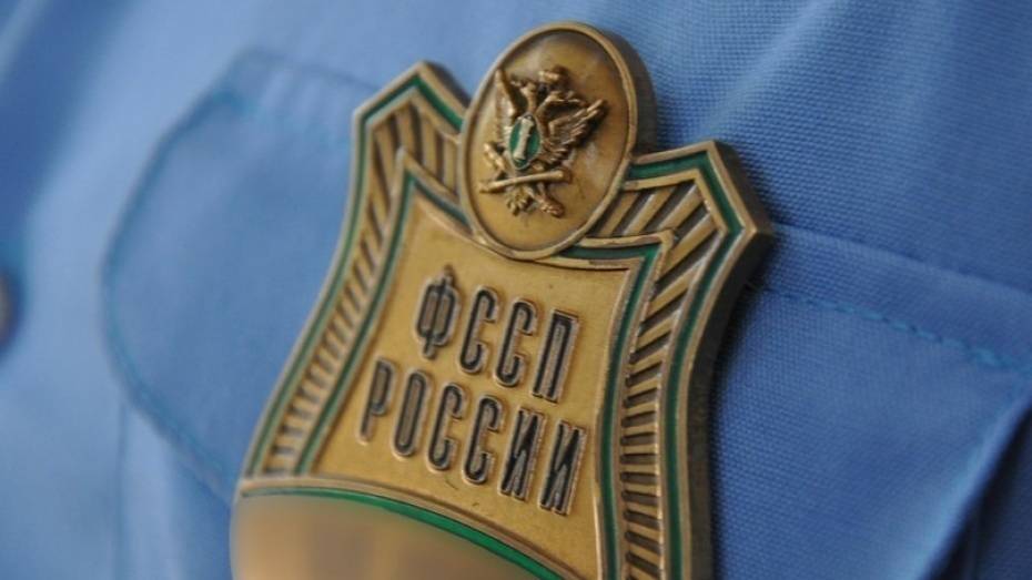 Приставы взыскали более 14,2 млн рублей алиментов с жителей Воронежской области