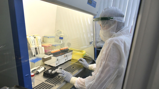 За неделю в Воронежской области COVID-19 подтвердился у 91 пациента