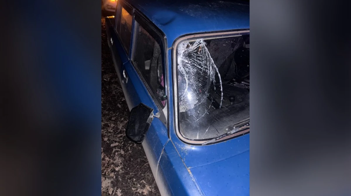 Шурыгина Новые Слиты Фото