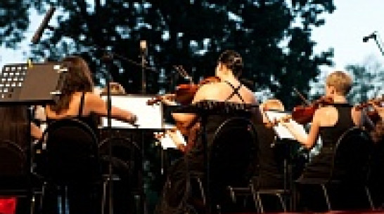 Воронежский Молодежный симфонический оркестр отметит первый юбилей