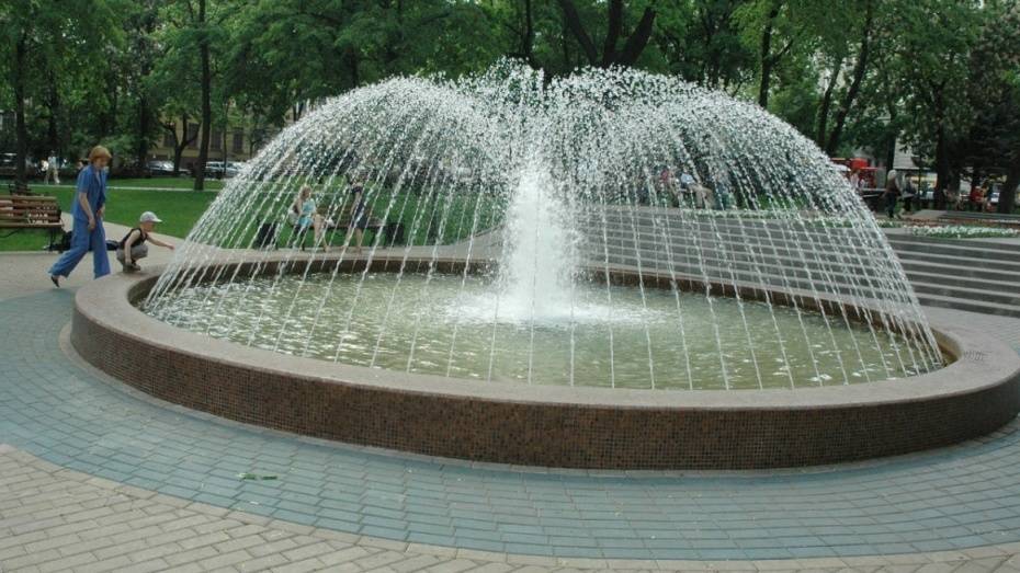 Рабочая неделя в Воронеже будет жаркой и дождливой