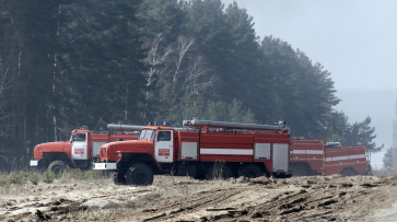 Число районов в Воронежской области с высоким уровнем пожароопасности выросло до 22