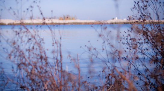 Воронежская область заняла 24 место в общероссийском рейтинге «Зеленого патруля»