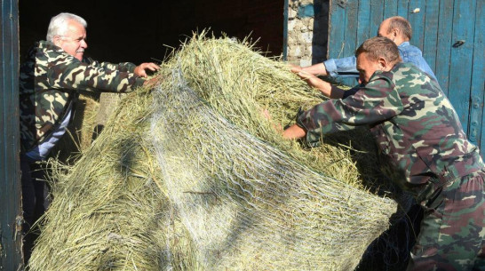 Нижнедевицкие охотники заготовили корм для зверей и птиц