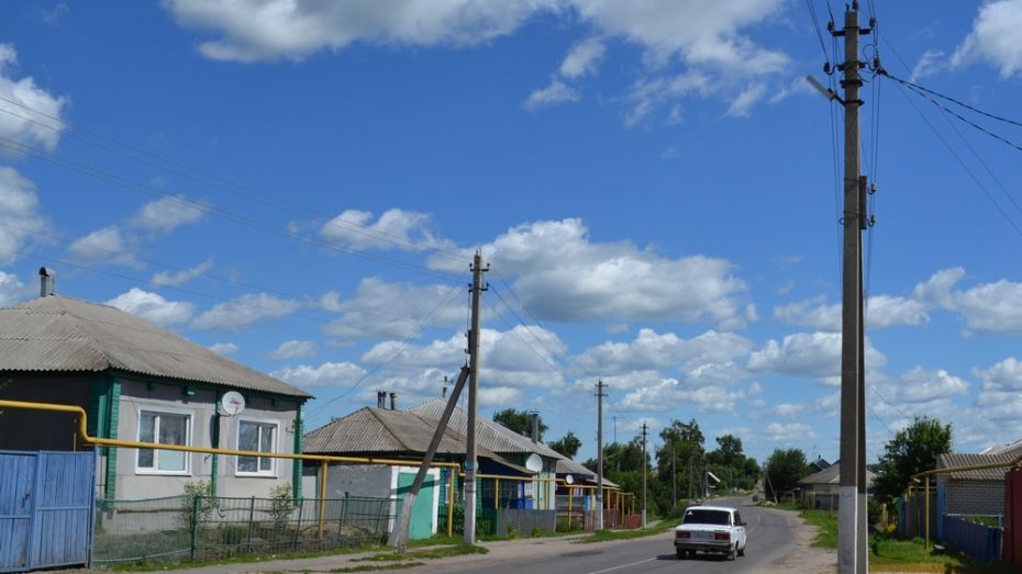 Погода щучье лискинский р он воронежской. Совхоз Лискинский.