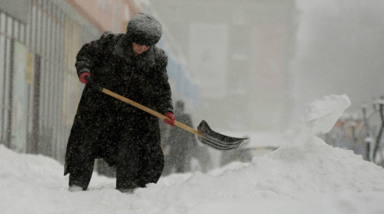 Воронежские коммунальщики расчистят дворы по аутсорсингу 