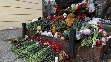 «Скорбим вместе со всеми»: воронежцы массово несут цветы к стихийным мемориалам
