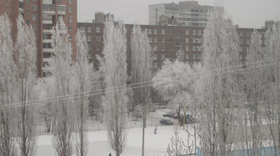 Морозы накроют Воронеж постепенно