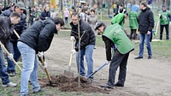 В воронежском парке «Южный» посадили  Воскресенскую рощу