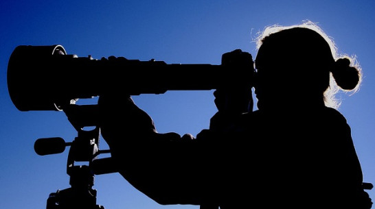 Минкульт создаст в Воронежской области региональную кинокомиссию