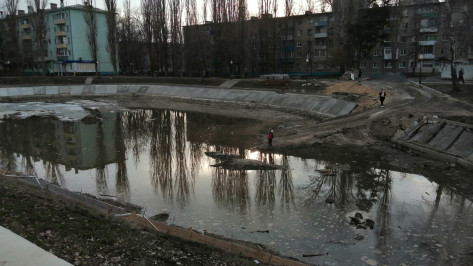 Воронежцы пожаловались на «ужасающее состояние» озера на улице Минской